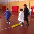 Introdurre gli insegnanti di educazione fisica nella scuola elementare vuol dire investire nella salute dei nostri giovani. Lo sport è uno degli elementi fondamentali del concetto di welfare e come tale richiede interventi intersettoriali,...