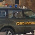 Sanificazione del territorio comunale. 
