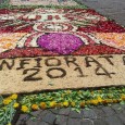 Ecco che dopo Marineo abbiamo voluto dare il giusto tributo all’infiorata di Pomara. Volevavo lasciarvi con le parole rilasciate da Francesco Giglio ieri sera durante la preparazione: Ieri notte sono stato a trovare...