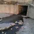 Salve, tramite la pagina del blog vorremmo segnalare all’amministrazione comunale alcune situazioni rigurardanti l’igiene e la pulizia del paese. La prima riguarda le caditoie per l’acqua piovana. In via Ugo La Malfa emanano...