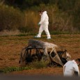 Malta, uccisa la blogger Daphne Caruana Galizia: l’autobomba esplosa Caruana Galizia stava indagando su scandali di corruzione