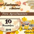 Evento da non perdere