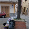 Continuano gli interventi di potatura e di messa in sicurezza degli alberi della città.