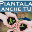 Piantala anche tu: 500 alberi in dono per le scuole palermitane
„L'iniziativa dell’Acsi delegazione Sicilia Occidentale è nata in collaborazione con l'assessorato regionale all'Agricoltura:“

Potrebbe interessarti: http://www.palermotoday.it/cronaca/piantumazione-alberi-scuole.html
Seguici su Facebook: http://www.facebook.com/pages/PalermoToday/115632155195201
