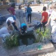 Completata la guerrilla gardening sa parte degli attivisti 5 stelle.