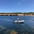 L'equipaggio ha raggiunto la costa e trasportato la ragazza sull'idroambulanza per il successivo trasporto alla guardia medica.