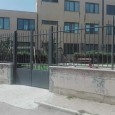 Vogliamo l'aprttuta giornaliera