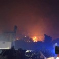 La cenere delle fiamme sprigionate nel bosco di Moarda è arrivata fino a Palermo. Secondo i vigili del fuoco che hanno lavorato per tutta la notte si sarebbero propagate in cinque punti distinti...