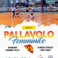 Segui la diretta streaming