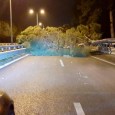 Scirocco a Palermo, alberi caduti sull’autostrada tra gli svincoli di Palermo e Villabate in direzione Catania. Traffico completamente bloccato a causa della presenza di Foto di Giuseppe Caccamisi