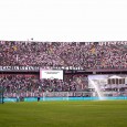 Forza Palermo 