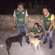 Ancora sulla Strada Provinciale 87 Ovest