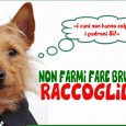 Continuano i controlli del NOGRA