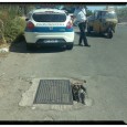 Ficarazzi, dopo diverse segnalazioni da questa mattina in via Calabrese intervento squadra AMAP per la riparazione di una buca pericolosa in prossimità del tombino della fognatura in prossimità dell’incrocio tra Via Calabrese e...