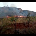 Un incendio di vaste proporzioni si è sviluppato nel pomeriggio di oggi, domenica 6 agosto, a Monte Giancaldo a Bagheria.