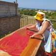 Le madde al sole