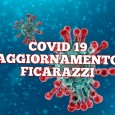 Percentuale in calo
