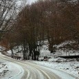 Preziose nevicate 