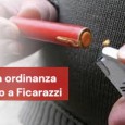 Il sindaco Giovanni Giallombardo ha firmato un’ordinanza che vieta su tutto il territorio comunale l’accensione, lancio e sparo di fuochi d’artificio, mortaretti, bombette e oggetti similari. Questa sarà valida da domani, 30 dicembre,...