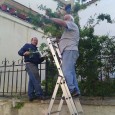 Gli addetti al Verde Pubblico del comune di Ficarazzi continuano il loro lavoro di pulitura e potatura di varie zone del paese. Gli operai sotto l’attenta guida dell’Esperto al Verde Pubblico Andrea Alfano...