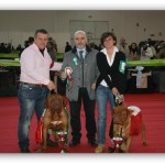 Premiazione al Sardinia Winner 2013