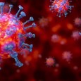 I DATI DELLA PROTEZIONE CIVILE SUL CORONAVIRUS IN ITALIA