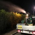 Ficarazzi 10 luglio 2024 – Si avvisa la cittadinanza che questa sera si darà corso ad un intervento di derattizzazione dell’intero territorio comunale