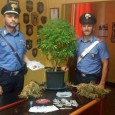 I Carabinieri  hanno bloccato e arrestato - per detenzione e spaccio di droga - un ragazzo di 22 anni, palermitano, volto noto alle forze dell'ordine