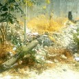 Chiedono a gran voce l'intervento di chi di competenza. Invitano la Polizia Municipale a rintracciare il proprietario del terreno e a far rispettare l'ordinanza sulla pulizia dei terreni incolti.