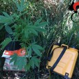 Arresti domiciliari per un trentottenne