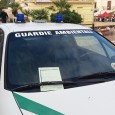 (da VillabatePress) Questa mattina la Polizia Municipale di Villabate ha multato un’auto dell’Associazione “Guardie Ambientali” in divieto di sosta in Piazza della Regione. E’ quanto riportato nell’articolo di Gabriele Giovanni Vernengo per Villabate...