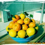 limoni e mandarini