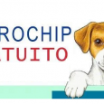 Ogni lunedì dalle ore 9 alle 12.30 è possibile effettuare gratuitamente l’applicazione di microchip ai nostri cani prenotando al numero  3518139750. Il servizio viene svolto all’interno della sede SINALP in Via Consolare 85...