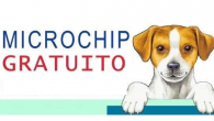 Ogni lunedì dalle ore 9 alle 12.30 è possibile effettuare gratuitamente l’applicazione di microchip ai nostri cani prenotando al numero  3518139750. Il servizio viene svolto all’interno della sede SINALP in Via Consolare 85...