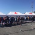 Ad accoglierli c’è al porto la task force coordinata dalla prefettura di Palermo