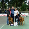 L’allevamento “Dogue de Bordeax” nasce dalla passione, per questi cani, di due amici Salvo Patinella e Salvo Guido. L’amore per i Dogue di Salvo Patinella comincia nel 1996 acquistando il primo Dogue, Les Premieres...