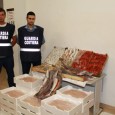 Santa Flavia (PA)- “Tolleranza zero” alle frodi alimentari sul pescato: questo e’ il senso dei controlli, effettuati in questi giorni dal personale della Guardia Costiera di Porticello, mirati essenzialmente a bloccare la commercializzazione...