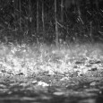Grandine, pioggia e forti raffiche di vento, fino a 80 km/h, si sono abbattute in nottata su Palermo e provincia. All’1.15 di questa notte si è abbattuta una vera e propria “bomba d’acqua”...