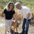 Grazie a tutti i lettori che ci inviano le segnalazioni