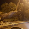 È successo in Via Libertà