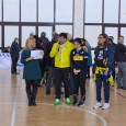 Milita nel campionato di terza divisione con il Volley Ficarazzi Porticello