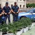 Gli agenti dell’Ufficio Prevenzione Generale e Soccorso Pubblico, a seguito di attenta attività di controllo del territorio, sono riusciti a scovare una florida piantagione di marijuana, coltivata in casa e “a costo zero”, in...