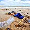 Ficarazzi, arrivano i vigili in borghese. Multe salate per chi sporca la spiaggia. Partono domani i controlli degli agenti in borghese della Polizia Municipale contro chi abbandona rifiuti in spiaggia, a Ficarazzi. Le multe...