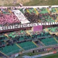 Il Palermo è ufficialmente promosso in serie C. Il primo traguardo ad un anno dalla rinascita