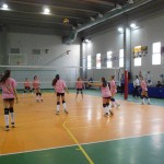 volley_siciliano (3) volley_siciliano (3)